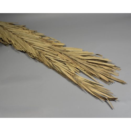 Pálmalevél rojtos 110cm natúr