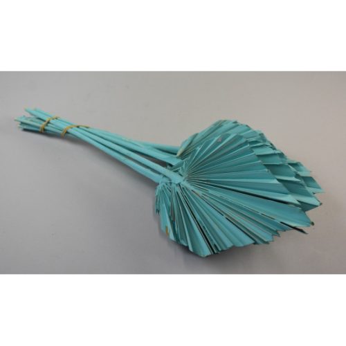 Pálmalevél közép falfestékes aqua