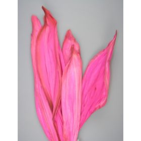 Betal levél feh.rózsaszín