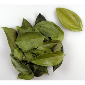 Bársony levél mohazöld