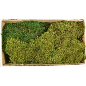 Moha / Flat moss prep. mohazöld Z340. árcsop.