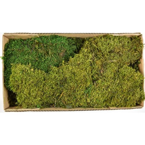 Moha / Flat moss prep. mohazöld Z340. árcsop.