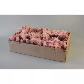 Izlandi zuzmó rózsaszín Z147. árcsop.