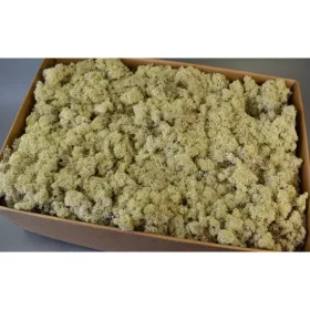 Izlandi zuzmó 5kg natúr