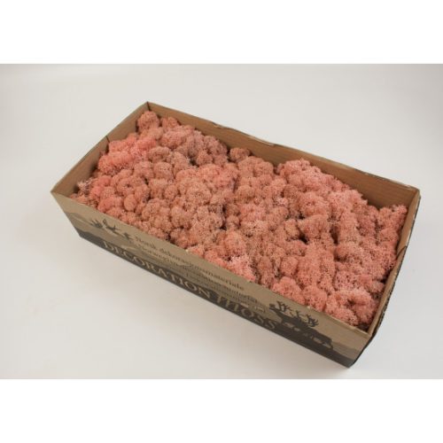 Izlandi zuzmó 500g rózsaszín