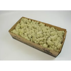 Izlandi zuzmó 500g natúr