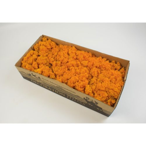 Izlandi zuzmó 500g narancs