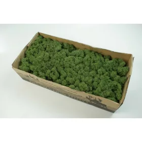 Izlandi zuzmó 500g mohazöld