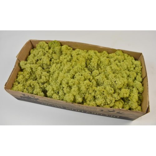 Izlandi zuzmó 500g halvány zöld