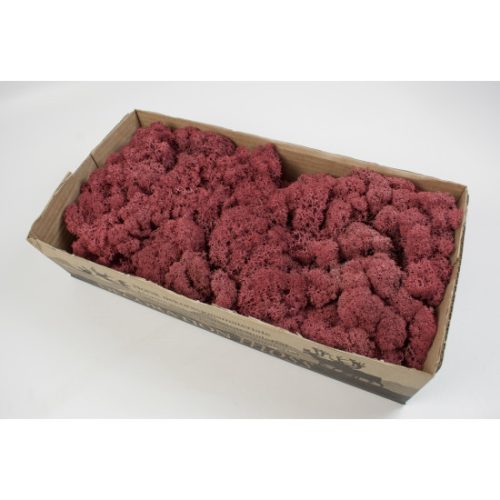 Izlandi zuzmó 500g bordó
