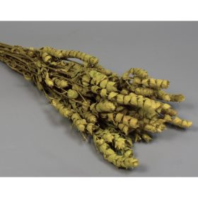 Zsálya török 60g natúr