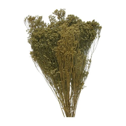 Broom Bloom 100g natúr