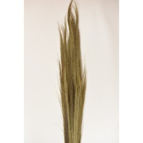 Tollseprű nád 100g 90-100cm natúr