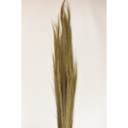 Tollseprű nád 100g 90-100cm natúr