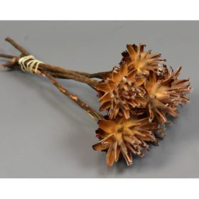 Plumosum száras natúr