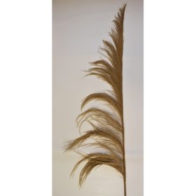 Pampafű Rio 2m natúr