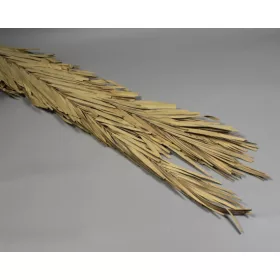 Pálmalevél rojtos 110cm natúr