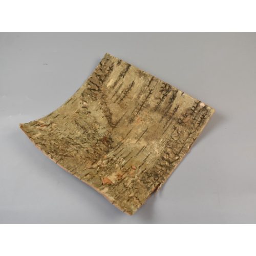 Nyírfa kéreg 20×20cm natúr