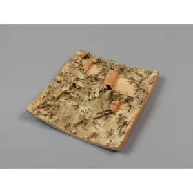 Nyírfa kéreg 10×10cm natúr