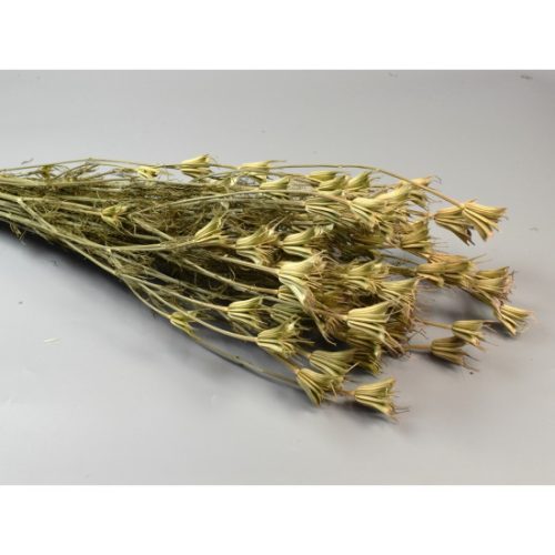 Nigella orientale 100g natúr