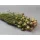 Nigella damascena 100g natúr