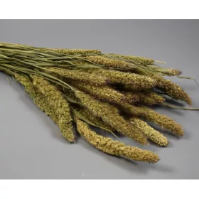 Muhar 100g natúr