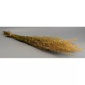 Lepidium atraxa 100g natúr