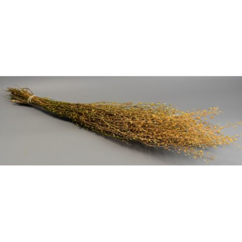 Lepidium atraxa 100g natúr