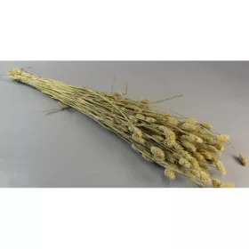 Fénymag 100g natúr