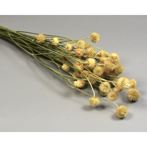Cicek 80g natúr