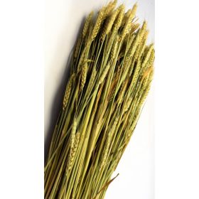 Búza tar 500g natúr