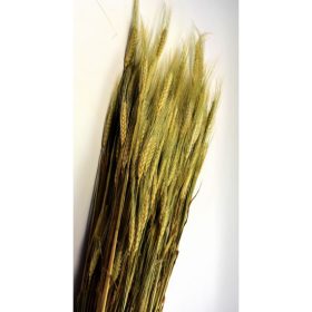 Búza szakállas 500g natúr