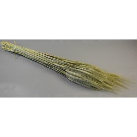 Búza szakállas 150g natúr