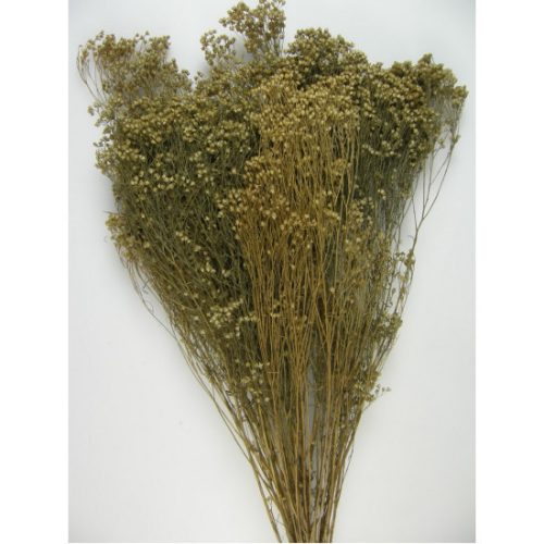 Broom Bloom 100g natúr