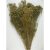 Broom Bloom 100g natúr