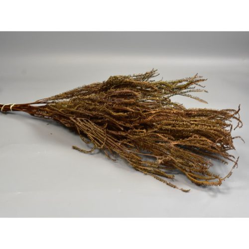 Ágas páfrány 150g natúr
