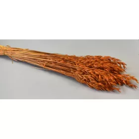 Zab 150g narancs