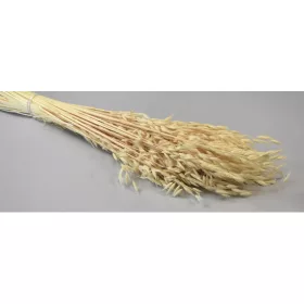 Zab 150g fehérített
