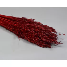 Zab 150g bordó