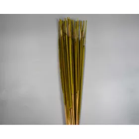 Typha indiai vil.zöld