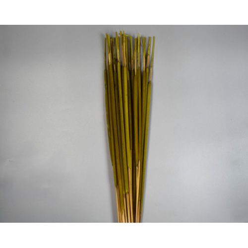 Typha indiai vil.zöld