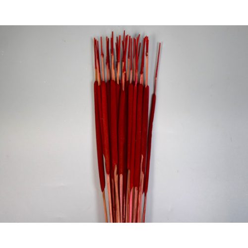 Typha indiai piros