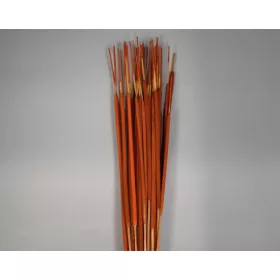 Typha indiai narancs