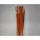 Typha indiai narancs