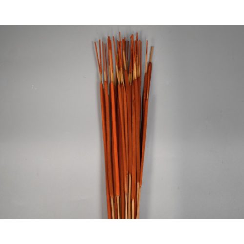 Typha indiai narancs
