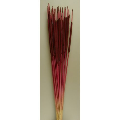 Typha indiai bordó