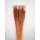 Typha indiai barna