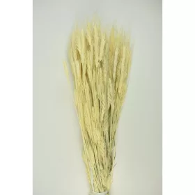 Tritikálé 150g fehérített