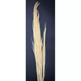 Tollseprű nád 100g 90-100cm fehérített