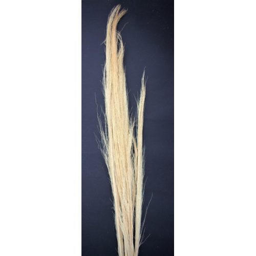 Tollseprű nád 100g 90-100cm fehérített